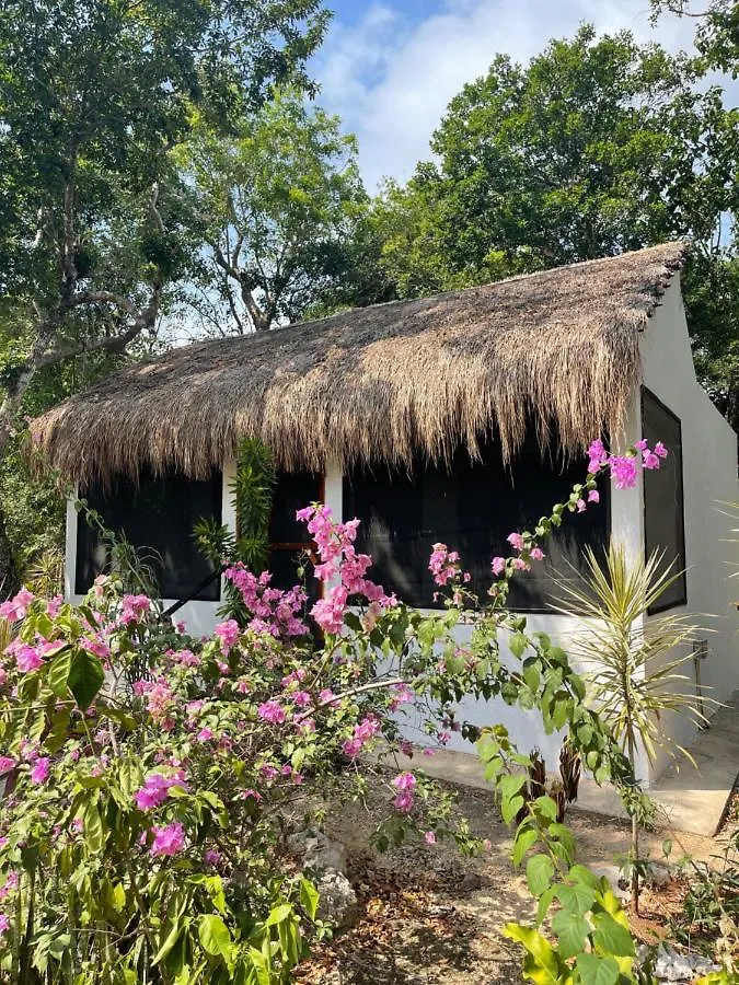 Maya Eco Village Akumal Meksika