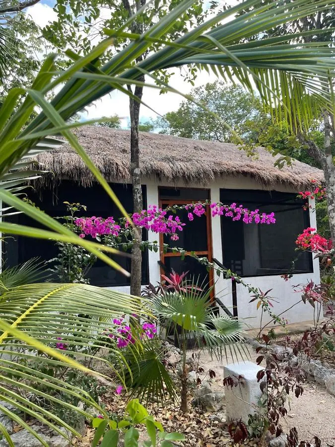 Maya Eco Village Akumal