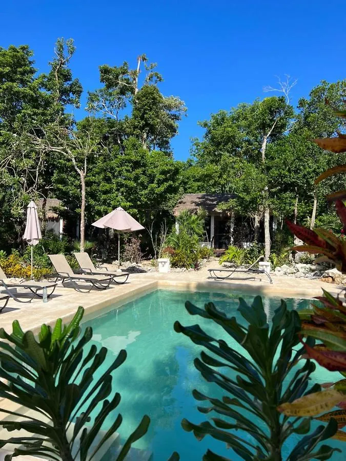 Maya Eco Village Akumal Hotel