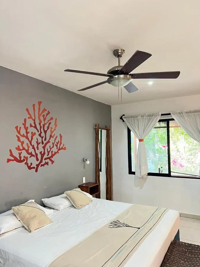 Maya Eco Village Akumal Mexico