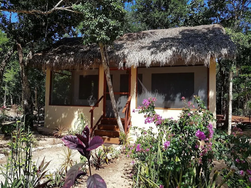 Maya Eco Village Akumal 2*,