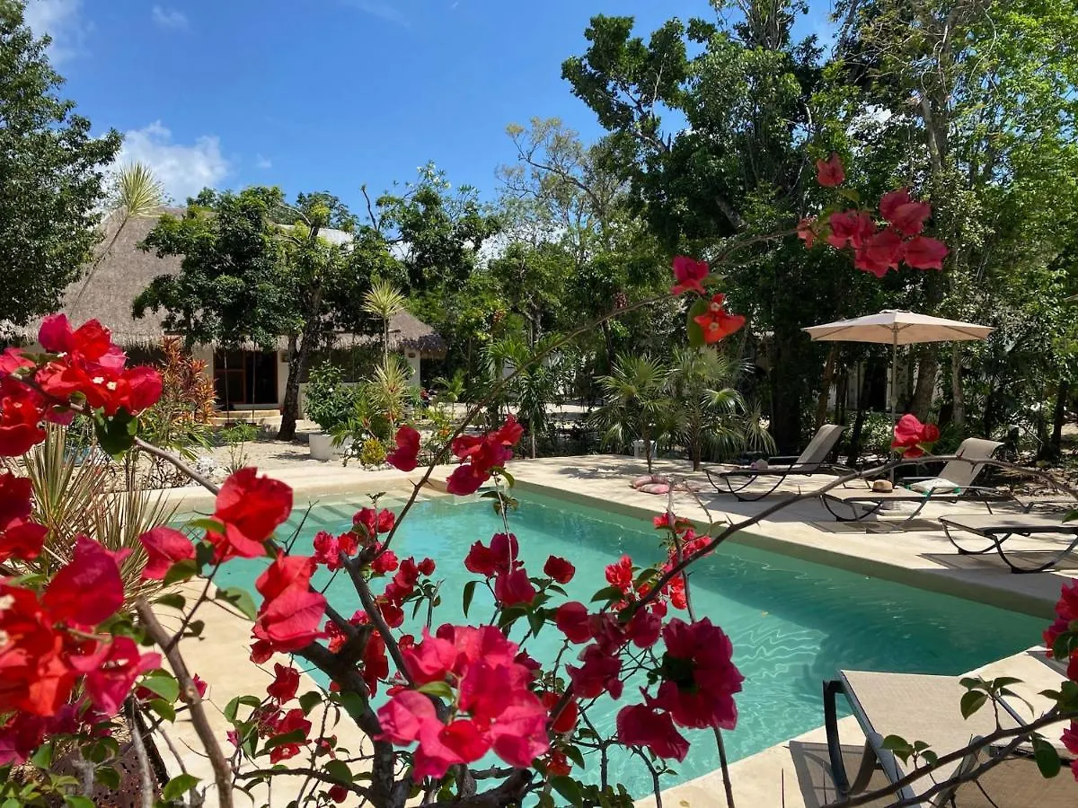 Maya Eco Village Akumal Mexico